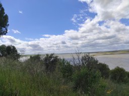 Flora del Cerro Masatrigo